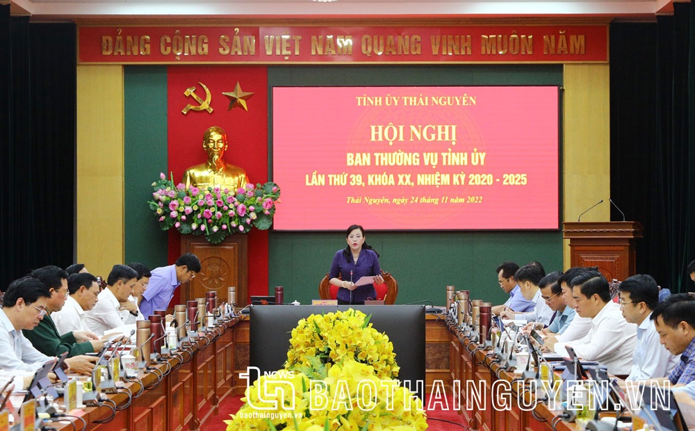 Ban Thường vụ Tỉnh ủy thảo luận, cho ý kiến vào nhiều nội dung